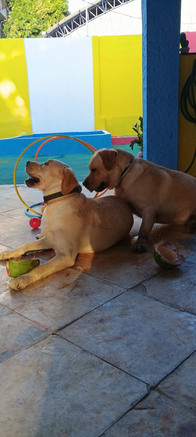 IMG_20240920_163920584