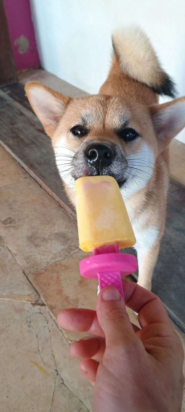 IMG_20250324_153355432